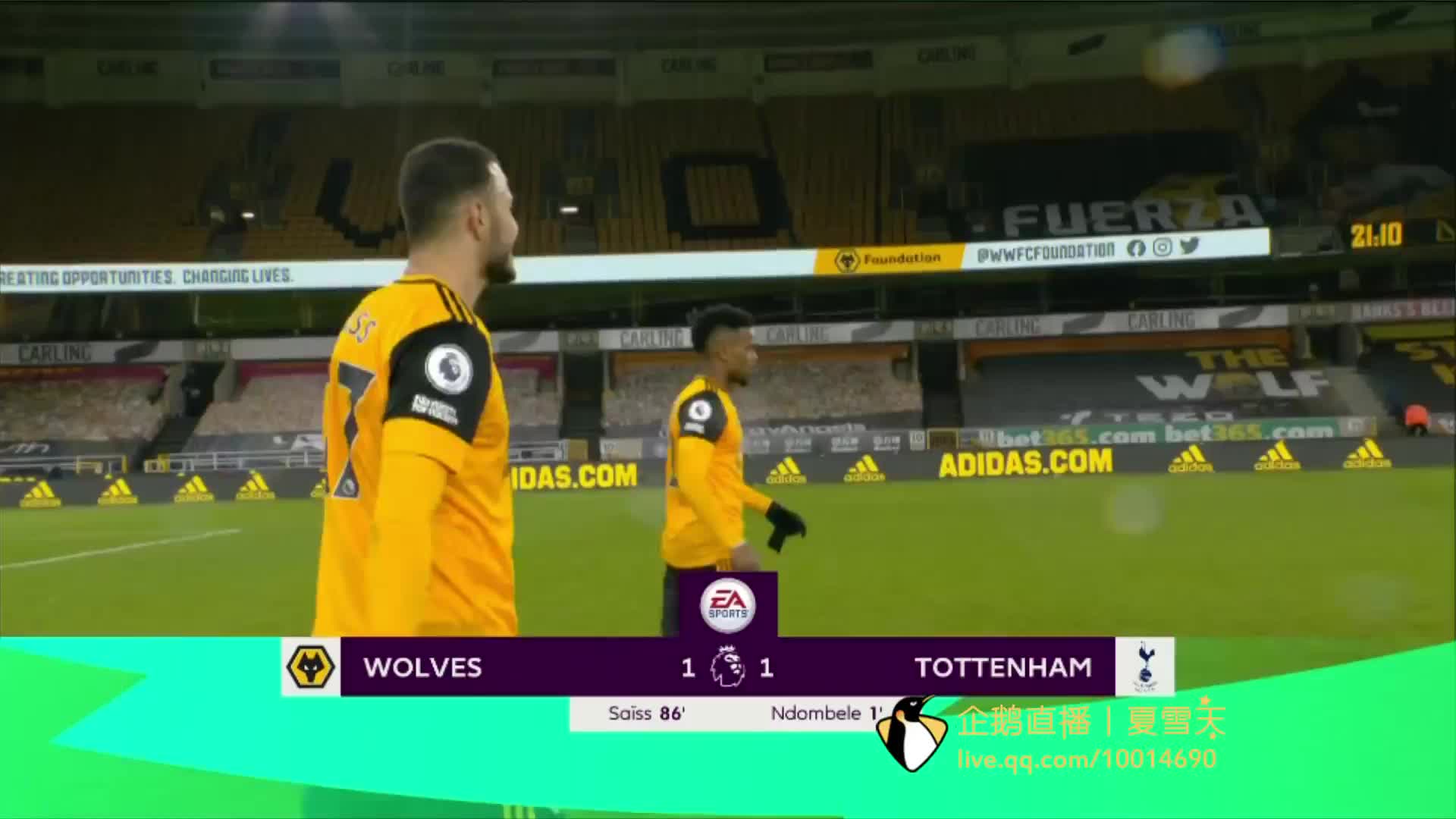 他调整训练 他调整训练